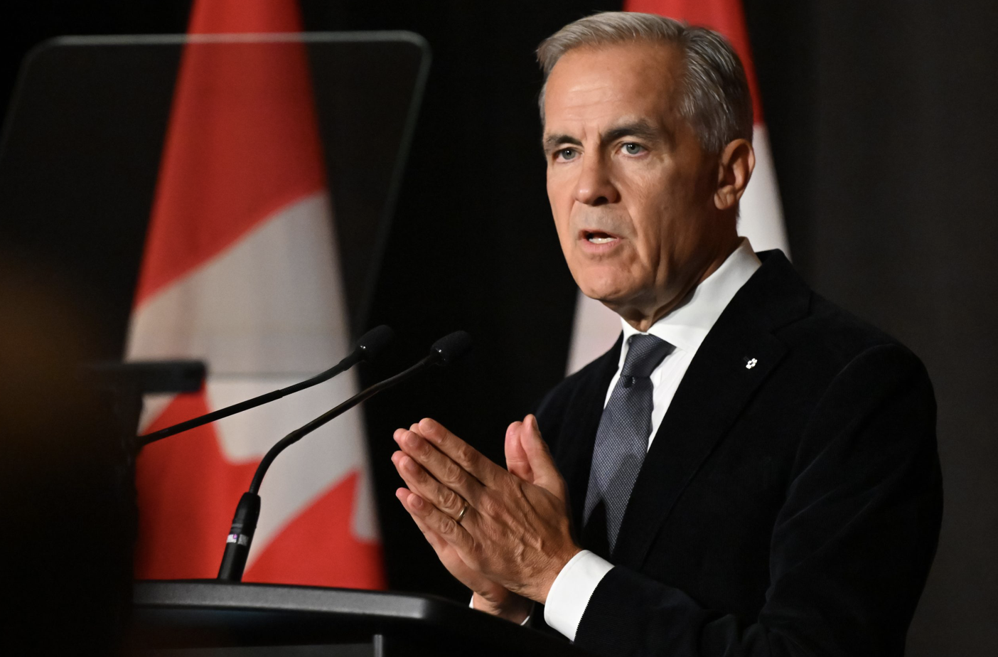 Carney calls for immigration increase